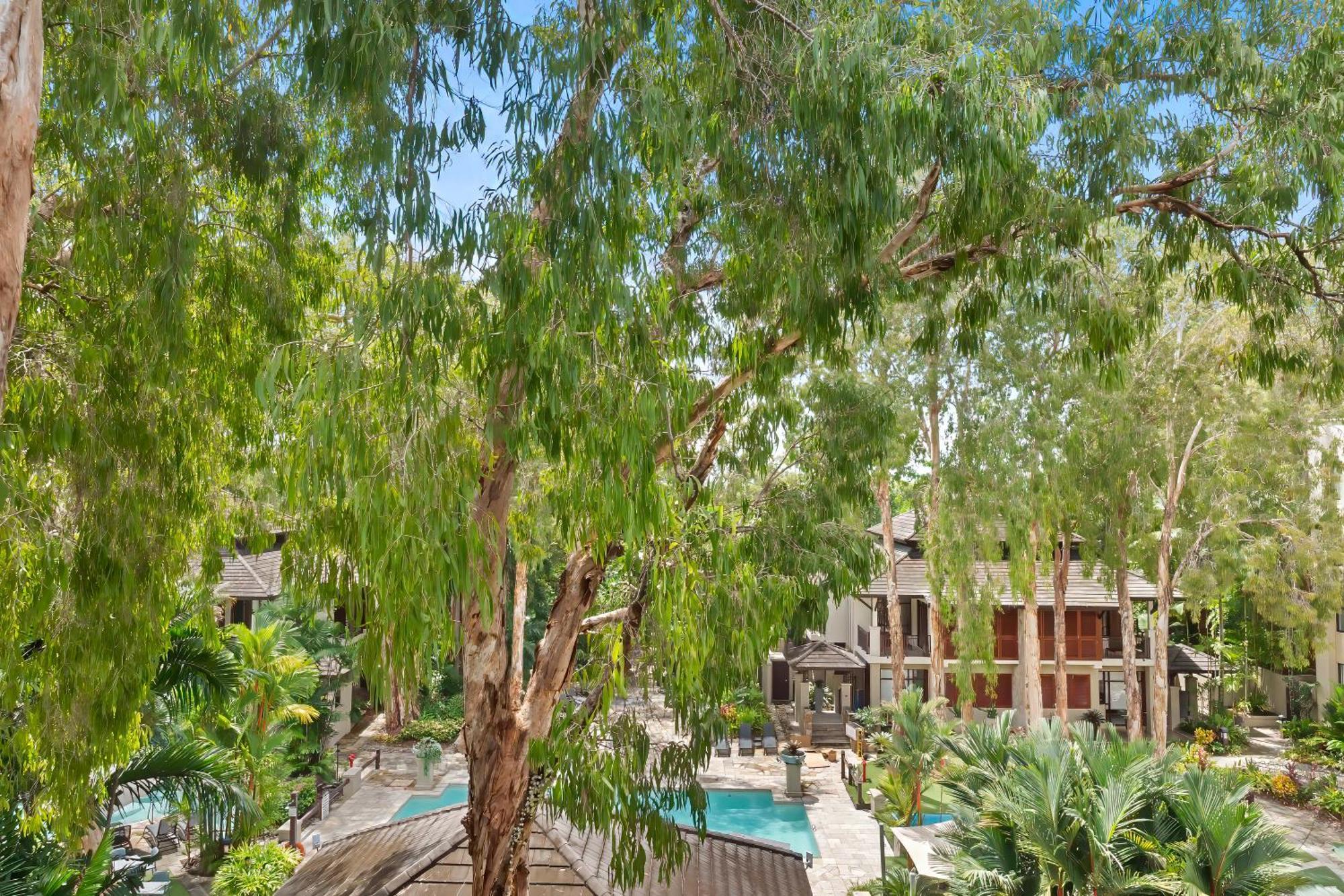 Private Apartments In The Temple Beachfront Resort Palm Cove Ruang foto